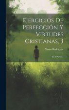 Ejercicios De Perfección Y Virtudes Cristianas, 3: En 3 Partes...