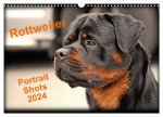 Rottweiler Portait Shots 2024 (Wall Calendar 2024 DIN A3 landscape), CALVENDO 12 Month Wall Calendar
