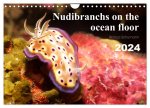 Nudibranchs on the ocean floor (Wall Calendar 2024 DIN A4 landscape), CALVENDO 12 Month Wall Calendar