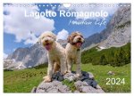 Lagotto Romagnolo Mountain Life (Wall Calendar 2024 DIN A4 landscape), CALVENDO 12 Month Wall Calendar