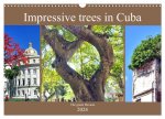 Impressive trees in Cuba - The green Havana (Wall Calendar 2024 DIN A3 landscape), CALVENDO 12 Month Wall Calendar