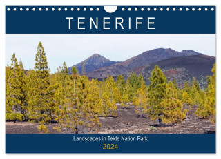 Tenerife - Landscapes of Teide National Park (Wall Calendar 2024 DIN A4 landscape), CALVENDO 12 Month Wall Calendar