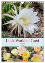 Little World of Cacti (Wall Calendar 2024 DIN A4 portrait), CALVENDO 12 Month Wall Calendar