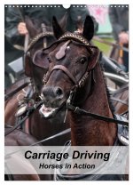 Carriage Driving - Horses in Action (Wall Calendar 2024 DIN A3 portrait), CALVENDO 12 Month Wall Calendar