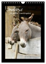 Donkeys - forgotten landscapers (Wall Calendar 2024 DIN A4 portrait), CALVENDO 12 Month Wall Calendar
