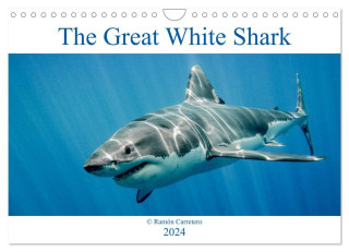 The Great White Shark: King of the Ocean (Wall Calendar 2024 DIN A4 landscape), CALVENDO 12 Month Wall Calendar