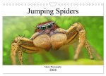 Jumping Spiders (Wall Calendar 2024 DIN A4 landscape), CALVENDO 12 Month Wall Calendar
