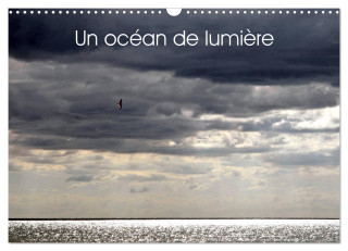 Un océan de lumi?re (Calendrier mural 2024 DIN A3 vertical), CALVENDO calendrier mensuel