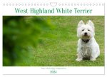 West Highland White Terrier - Your charming companion (Wall Calendar 2024 DIN A4 landscape), CALVENDO 12 Month Wall Calendar