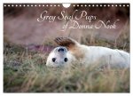 Grey Seal Pups of Donna Nook (Wall Calendar 2024 DIN A4 landscape), CALVENDO 12 Month Wall Calendar