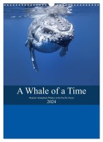A Whale Of A Time (Wall Calendar 2024 DIN A3 portrait), CALVENDO 12 Month Wall Calendar