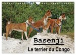 Basenji Le terrier du Congo (Calendrier mural 2024 DIN A4 vertical), CALVENDO calendrier mensuel