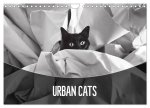 Urban Cats (Wall Calendar 2024 DIN A4 landscape), CALVENDO 12 Month Wall Calendar