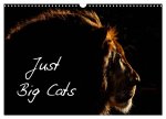 Just Big Cats (Wall Calendar 2024 DIN A3 landscape), CALVENDO 12 Month Wall Calendar