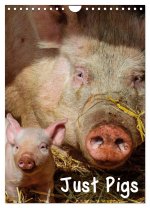 Just Pigs (Wall Calendar 2024 DIN A4 portrait), CALVENDO 12 Month Wall Calendar