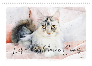 Les chats Maine Coons (Calendrier mural 2024 DIN A3 vertical), CALVENDO calendrier mensuel
