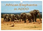 African Elephants in ADDO (Wall Calendar 2024 DIN A4 landscape), CALVENDO 12 Month Wall Calendar