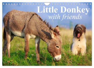 Little Donkey with Friends (Wall Calendar 2024 DIN A4 landscape), CALVENDO 12 Month Wall Calendar