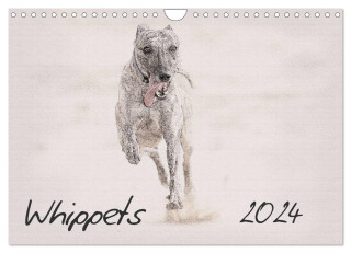 Whippets 2024 (Wall Calendar 2024 DIN A4 landscape), CALVENDO 12 Month Wall Calendar