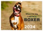 When I'm big I will be a Boxer / UK-Version (Wall Calendar 2024 DIN A3 landscape), CALVENDO 12 Month Wall Calendar