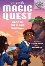 Race to the Magic Mountain: A Branches Book (Kwame's Magic Quest)