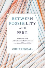 Between Possibility and Peril: Domestic Courts and the Selective Enforcement of International Human Rights