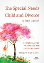 The Special Needs Child and Divorce: A Practical Guide to Handling and Evaluating Cases