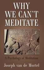 Why We Can't Meditate: A Psychology of Meditation
