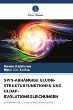 SPIN-ABHÄNGIGE GLUON-STRUKTURFUNKTIONEN UND GLDAP-EVOLUTIONSGLEICHUNGEN