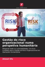 Gest?o do risco organizacional numa perspetiva humanitária