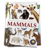 Animals: Mammals