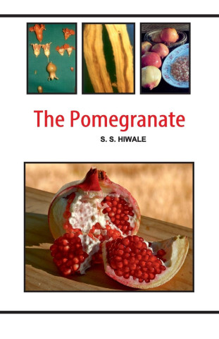 The Pomegranate