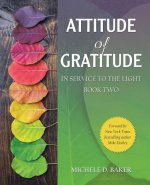 Attitude of Gratitude: In Service to the Light Book Two