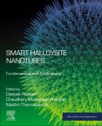 Smart Halloysite Nanotubes