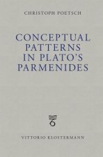 Conceptual Patterns in Plato's Parmenides