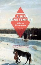 Il a suffi d'une temp?te