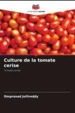 Culture de la tomate cerise