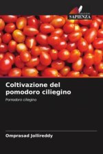 Coltivazione del pomodoro ciliegino