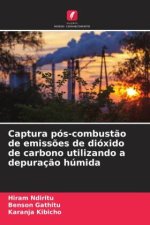 Captura pós-combust?o de emiss?es de dióxido de carbono utilizando a depuraç?o húmida