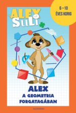Alex Suli - Alex a geometria forgatagában