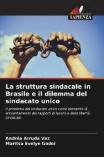 La struttura sindacale in Brasile e il dilemma del sindacato unico