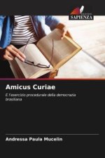 Amicus Curiae