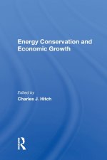 Energy Conservation And Economic Growth