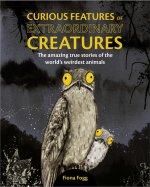 Curious Creatures