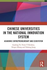 Chinese Universities in the National Innovation System