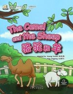 Camel and the Sheep (Animal)