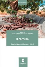 carrubo. Caratteristiche, coltivazioni e utilizzi