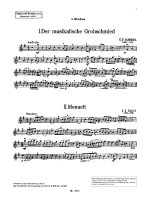 Gradus ad Symphoniam