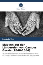 Sklaven auf den Ländereien von Campos Gerais (1846-1864)