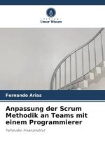 Anpassung der Scrum Methodik an Teams mit einem Programmierer